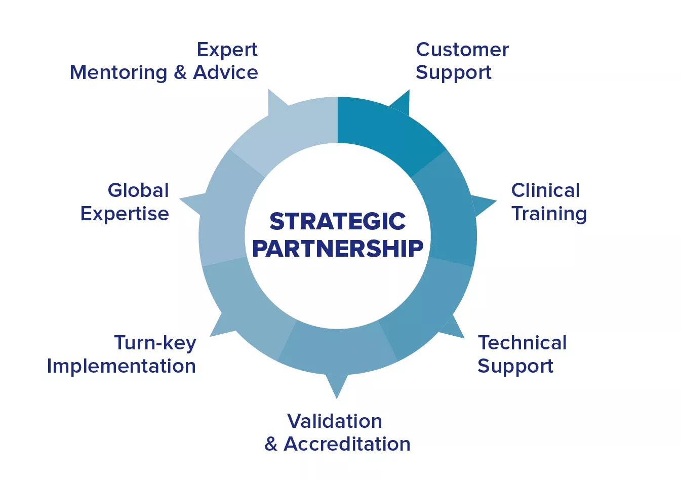 Grafisk illustration af en cirkel med inddelte punkter afstemt med nøglebegreber